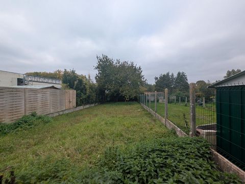 photo no. 11