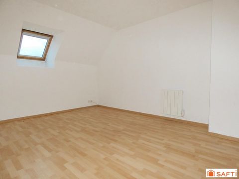 photo no. 12
