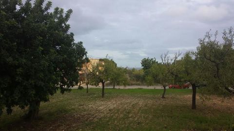 CURRENT SITUATION OF THE PLOTS COMPENSATION PROJECT POLYGON 1-15A DE MANACOR PLOT P-6-7 : 2.944,76 m2 VIABILITY OF THE PLOTS 1. Plot suitable for establishing service sector companies. 2. Location: at the foot of the Palma - Artá road, where approxim...