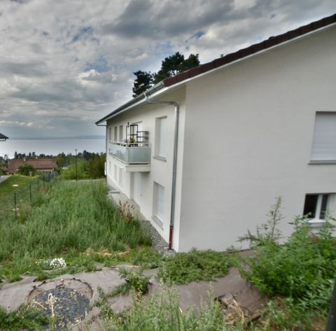 Dpt Haute Savoie (74), à vendre EVIAN LES BAINS appartement T4 de 89 m² en rez de jardin- Terrasses + balcon