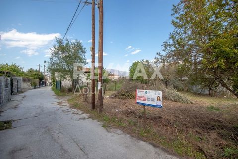 Real estate consultant Maria Kostopoulou of the Sianos Papageorgiou group and the RE/MAX Domi office in Volos. Exclusively available from our team for sale is an even and buildable plot with a total area of 378 sq.m. in Neas Pagases. The plot is loca...