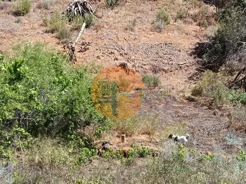 Rustikales Land, mit 840 m2, in der Nähe von Corte do Gago - Castro Marim - Algarve. Land mit flachen Teilen. Land hat ausgezeichnete Sonneneinstrahlung, mit einigen Bäumen. In der Nähe von Elektrizität. Ruhiger und friedlicher Ort, mit einem ausgeze...