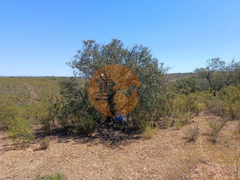 Plot of land with 34.700 sq. mts, near Choça Queimada, Odeleite in Castro Marim - Algarve. Good accesses. Flat land with good access by tarmac road. Unobstructed views of the Algarve. Flat part for caravans, motor home and removable houses. Public li...