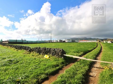 Groot land (rustiek gebouw) met 25.280 m2 (18 alqueires), gelegen nabij stedelijk gebied, in het noordelijke deel van de parochie van Arrifes, gemeente Ponta Delgada; Het is een groot land met vlakke grond, met enkele divisies in stenen muur, momente...