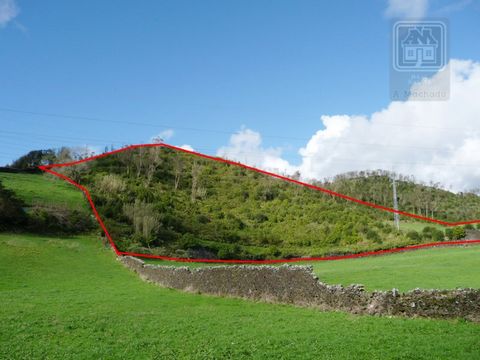 Rustic land located at Sao Roque parish in Ponta Delgada, Sao Miguel Island, Azores (Portugal). This rustic land is composed by pasture land and Mata with a total area of 29.960 sq. meters. The land is located on a perimeter inferior to 300 meters fr...