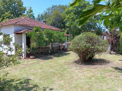 Diese einstöckige Villa mit 3 Schlafzimmern befindet sich in Vendinha, einem charmanten Dorf in Vila Nova de Poiares, Coimbra, und bietet eine einzigartige Gelegenheit, in Harmonie mit der Natur zu leben. Hauptmerkmale: Ort: Vendinha, Vila Nova de Po...