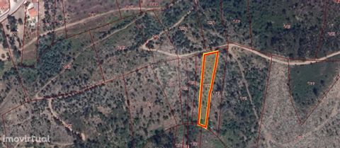 Land with 1,320m2, in the parish of S. Pedro de Tomar, in an area of escarpments, with a steep slope and access by dirt road.   According to the current PDM, this land is in forest space and does not allow construction.   Contact me for more informat...