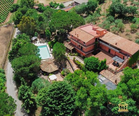 FARMHOUSE The farmhouse is located 22 km from Palermo in the territory of Santa Cristina Gela, it has been carrying out the agritourism activity for more than 15 years, addressing a national and international audience. The company is registered in th...