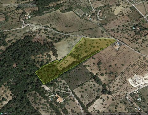Spectacular finca in Moscari of almost 39,000m2, with spectacular views and with a project to build a house of 400m2 with a swimming pool, plus two more existing houses, one of them of 90m2 with a project for reform included. The property consists of...