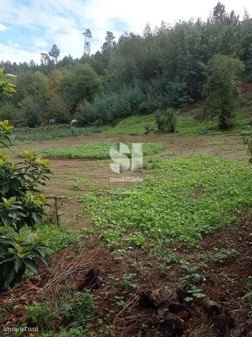 Land for cultivation, with olive and fruit trees, located 10 minutes from Coimbra, with good access and with the possibility of building housing. Great sun exposure, with views of the mountains in a quiet area.