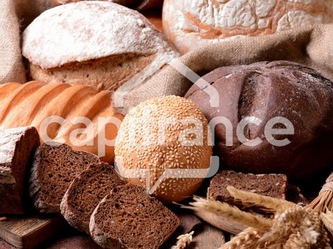 Dpt Cantal (15), à vendre Boulangerie - Terminal de cuisson