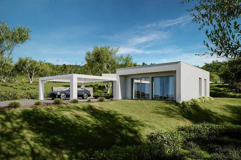 The finishes of the villa will be first quality and can be tailored to each buyer while we are still in the building phase. It lies on the edge of the famous fishing town of Nazare which is just minutes away. A generous plot of land suitable for some...