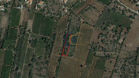 Rustic land, with 2040 m2, intended for arable cultivation, located in Poço do Gueino, in São Bartolomeu de Messines, in the council of Silves.
