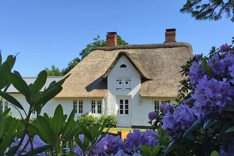 Enjoy a very special atmosphere in this idyllic thatched house. It was built in 1847 and extensively renovated in a cozy country house style. The tasteful and high-quality furnishings mixed with the special charm of the old house create a very specia...