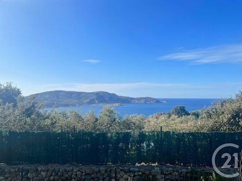 Ihre Agentur Century 21 Dary Immobilier in Calvi bietet eine Grundstücksfläche von ca. 4177 m² zum Verkauf an, die einen atemberaubenden Blick auf das Meer bietet. Mit einem sanften Gefälle bietet dieses Grundstück viele Baumöglichkeiten. Sie werden ...