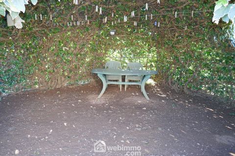 photo no. 5