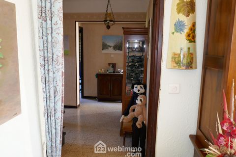 photo no. 11