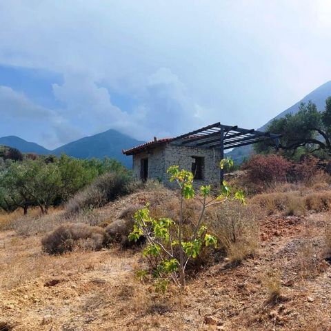 Mochlos, Sitia, East Crete: Building plot with sea view, just 2400meters from the sea. The plot is 2162m2 with olive trees. Inside the plot there is a small storage area of 16.71m2. Opposite the road, there is also another small plot of 159m2. The pl...