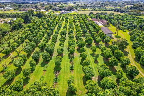 10 GROSS AC. LYCHEE GROVE DOTÉ D’UNE FERME DE CAMPAGNE 3/2 AVEC JARDIN, COMPREND : UN ENTREPÔT DÉTACHÉ DBL DECKER AVEC APPARTEMENT ET BUREAU, UNE GRANGE À POTEAUX AVEC BUREAU A / C ET CAMÉRAS DE SÉCURITÉ SUR LE RÉSEAU PRIVÉ. SITUÉE SUR UNE ROUTE RURA...