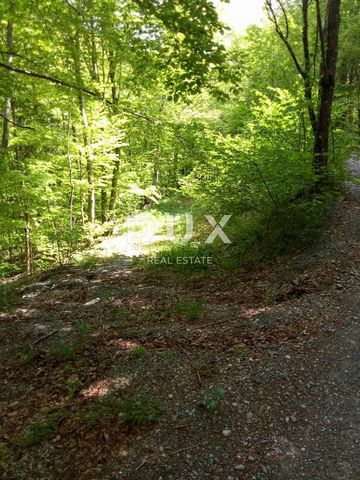 Location: Primorsko-goranska županija, Vinodolska Općina, Bribir. NOVI VINODOLSKI, BRIBIR - terreno agricolo, bosco di faggi Vendiamo terreno agricolo nella foresta di Bribir con una superficie di 12.600 m2. In natura si tratta di una faggeta con un ...