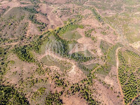 Rural land plot of 19.681 hectares with building viability for constructing a villa or Owner-Farmer residence of up to 500 sqm of construction area, located in Santa Margarida da Serra, in the municipality of Grândola. Nestled in the heart of the cou...