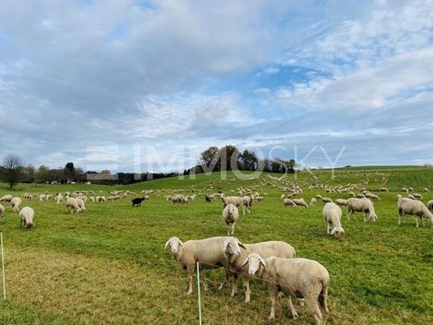 Отправляйтесь в очаровательную деревню Ауэрбах близ Хоргау, где вас ждет уникальный участок земли. В муниципалитете Хоргау вы можете рассчитывать не только на первоклассное качество жизни, но и на нетронутый природный ландшафт, который буквально приг...