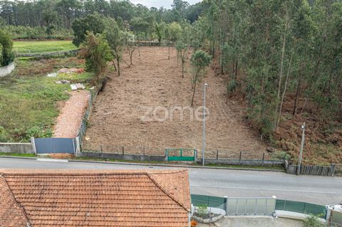 Identificação do imóvel: ZMPT571456 Terreno Rústico com capacidade construtiva de Moradias em Grijó Este terreno, situado na Rua da Guarda em Grijó, encontra-se em uma localização privilegiada, a apenas minutos do Mosteiro de S. Salvador e de variado...