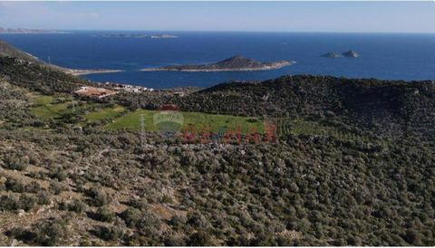 Das angebotene Grundstück in Kalkan Bezirgan stellt eine hervorragende Investitionsmöglichkeit dar. Mit seinem atemberaubenden Meerblick und der Nähe zu Kaputaş Strand bietet es die perfekte Kombination aus Natur und Erholungsmöglichkeiten. Hier sind...