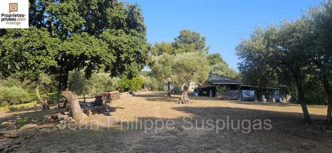 83330 Le Beausset - Au coeur d'une forêt méditerranéenne de près d'un hectare sur les hauteurs du village, cette propriété de charme située dans un environnement boisé très calme offre une habitabilité de plain pied et dispose de dépendances : garage...