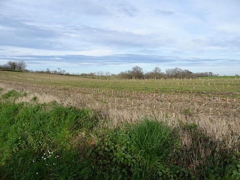 Lot de parcelles agricoles situées à Mugron d'une superficie totale de 6ha 85a 81ca. Cet ensemble est composé majoritairement de terres cultivées situées sur un coteaux chalossais. Nature du sol: limono-argileux, terres non irriguées. Idéal pour pâtu...