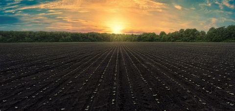 Een uitzonderlijke investeringsmogelijkheid wacht op u met 500 - 2000 hectare compacte, klasse 1 bouwland in de provincie Hunedoara, op slechts een klein eindje rijden van de stad Deva, Roemenië. Belangrijkste kenmerken Land van hoge kwaliteit : Eers...