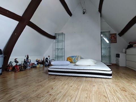 photo no. 8