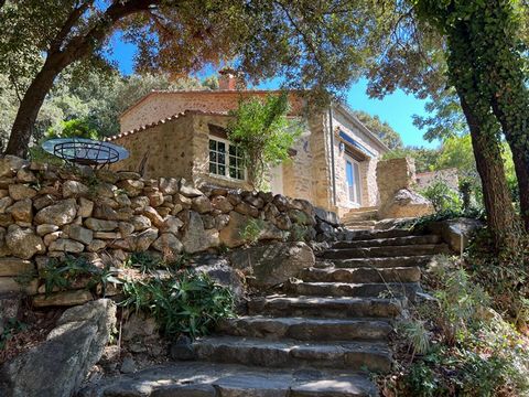 Sur la commune de Sorède, au calme et avec une magnifique vue sur les Albères, ensemble de deux Mas Catalans authentiques du XIVème siècle, entièrement restaurés avec des matériaux nobles, d'une superficie totale d'environ 355 m2 sur une parcelle de ...