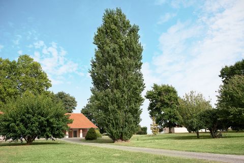 Located just 10 minutes north of Montauban (82), this magnificent property offers a spacious living space of approximately 245 square meters, an expandable attic of around 115 square meters, a swimming pool, and outbuildings, all nestled within a fen...