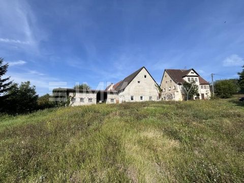 *PLEASE UNDERSTAND THAT WE WILL ONLY ANSWER INQUIRIES WITH COMPLETE PERSONAL INFORMATION ( ADDRESS, PHONE NUMBER and EMAIL ADDRESS* Welcome to a unique offer in the middle of the idyllic landscape of Frommenhausen. This spacious property combines the...