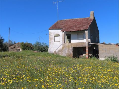 Farm with approximately 6 hectares, with a variety of fruit trees such as orange trees, medlar trees, pear trees, apple trees, vines and centenary olive trees. With electric meter, artesian boare hole, three wells and two ponds with springs. One of t...