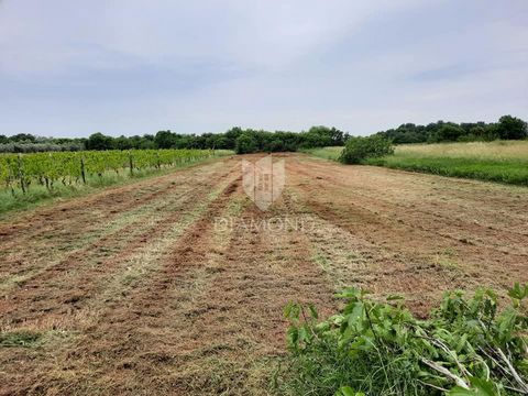 Location: Istarska županija, Ližnjan, Ližnjan. Non lontano da Ližnjan è in vendita un terreno edificabile di 904 m², situato in un insediamento tranquillo che offre privacy e silenzio. Questo terreno pianeggiante e ben conformato è ideale per la cost...