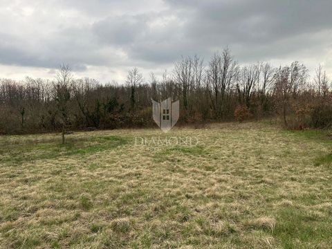 Location: Istarska županija, Žminj, Žminj. Istrien, Žminj, Baugrundstück mit Projekt und Genehmigung für Ihr Traumhaus An einem ruhigen Standort nordöstlich von Žminj, inmitten einer beeindruckenden natürlichen Umgebung, steht ein Baugrundstück von 8...