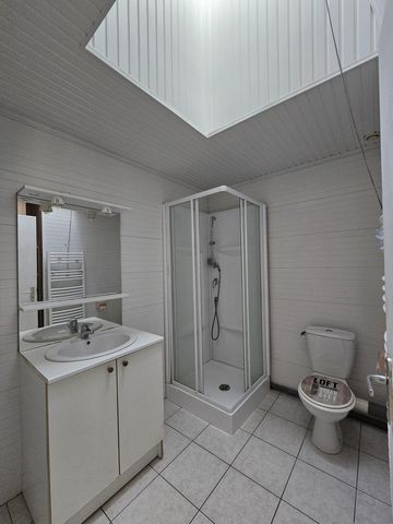photo no. 6