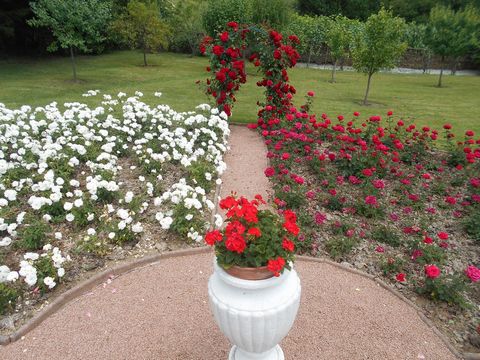 photo no. 3