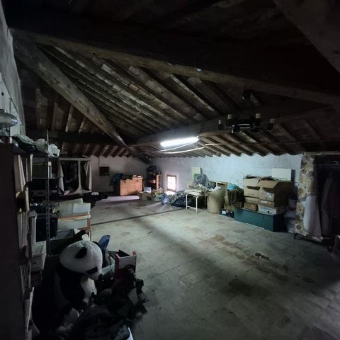 photo no. 19