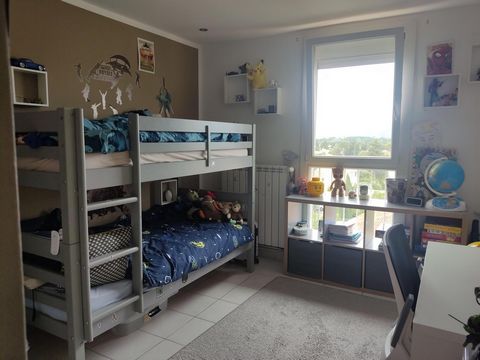 photo no. 10
