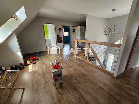 photo no. 7