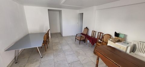 photo no. 11