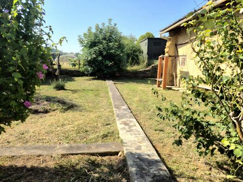 photo no. 11