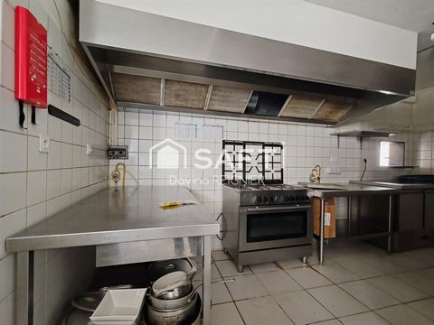 photo no. 6