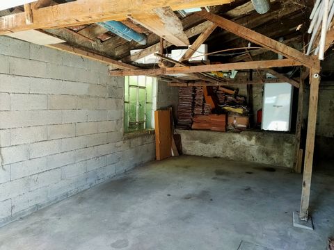 photo no. 14