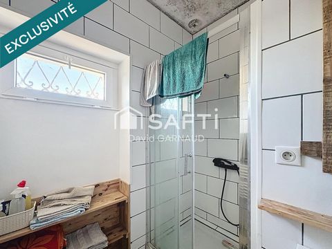 photo no. 11