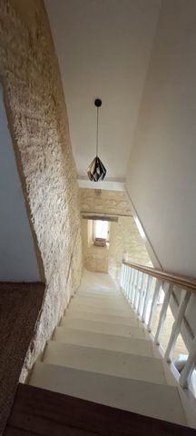 photo no. 6
