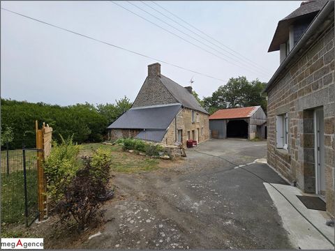 photo no. 18